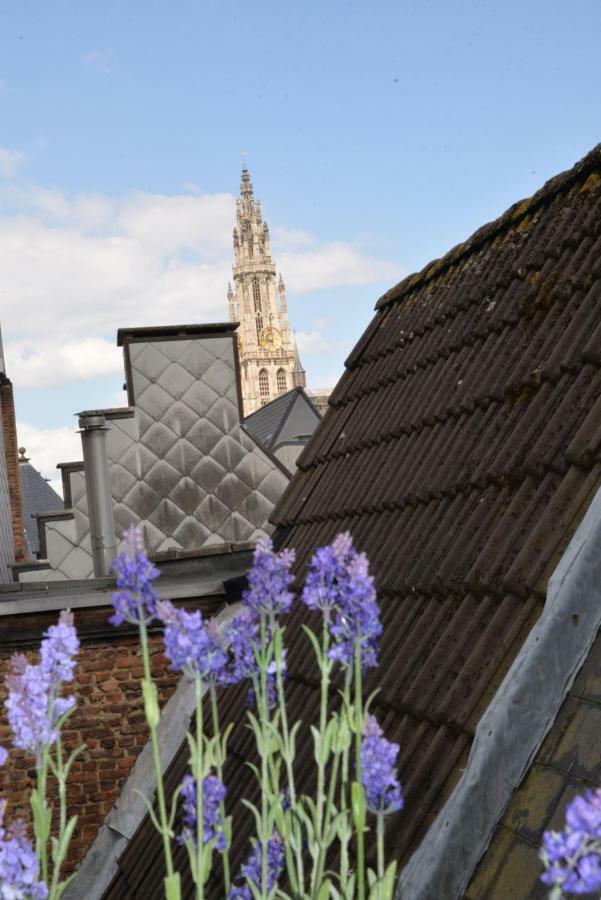 Huize Amoras Antwerpen Ngoại thất bức ảnh