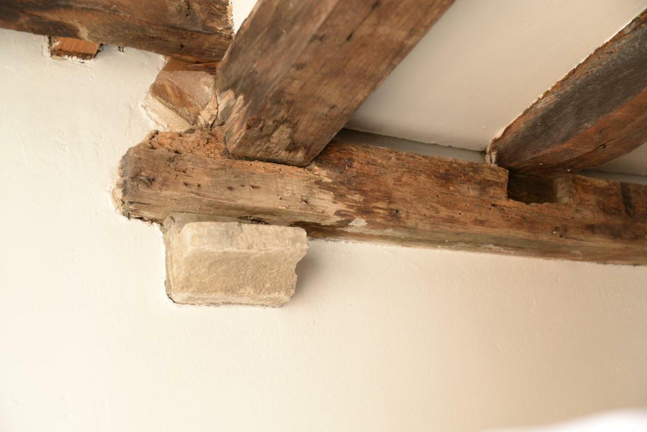 Huize Amoras Antwerpen Ngoại thất bức ảnh